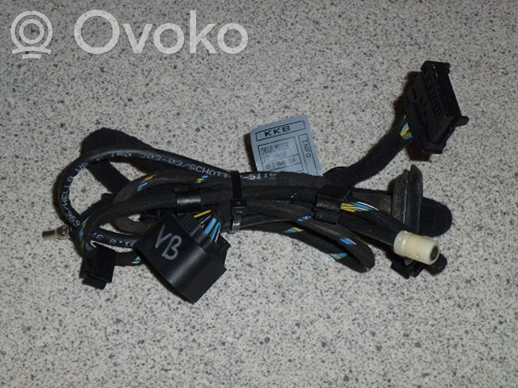 BMW 7 E65 E66 Cableado de puerta trasera 