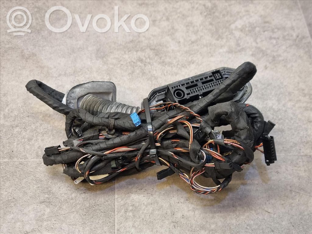 BMW 5 F10 F11 Cableado de puerta delantera