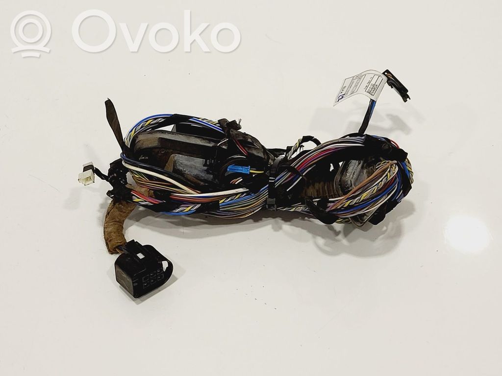BMW X3 F25 Cableado de puerta trasera