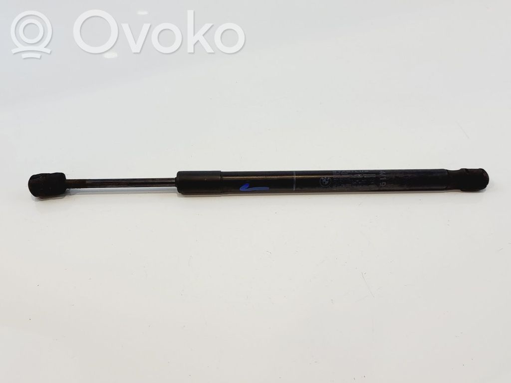 BMW X5 F15 Amortizor capotă motor