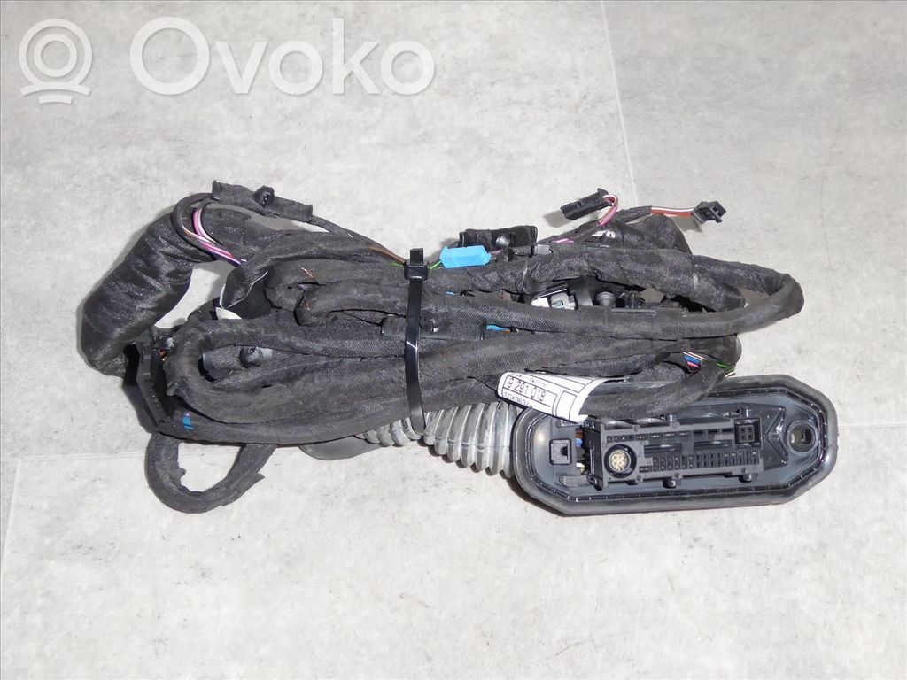 BMW 5 F10 F11 Cableado de puerta delantera 