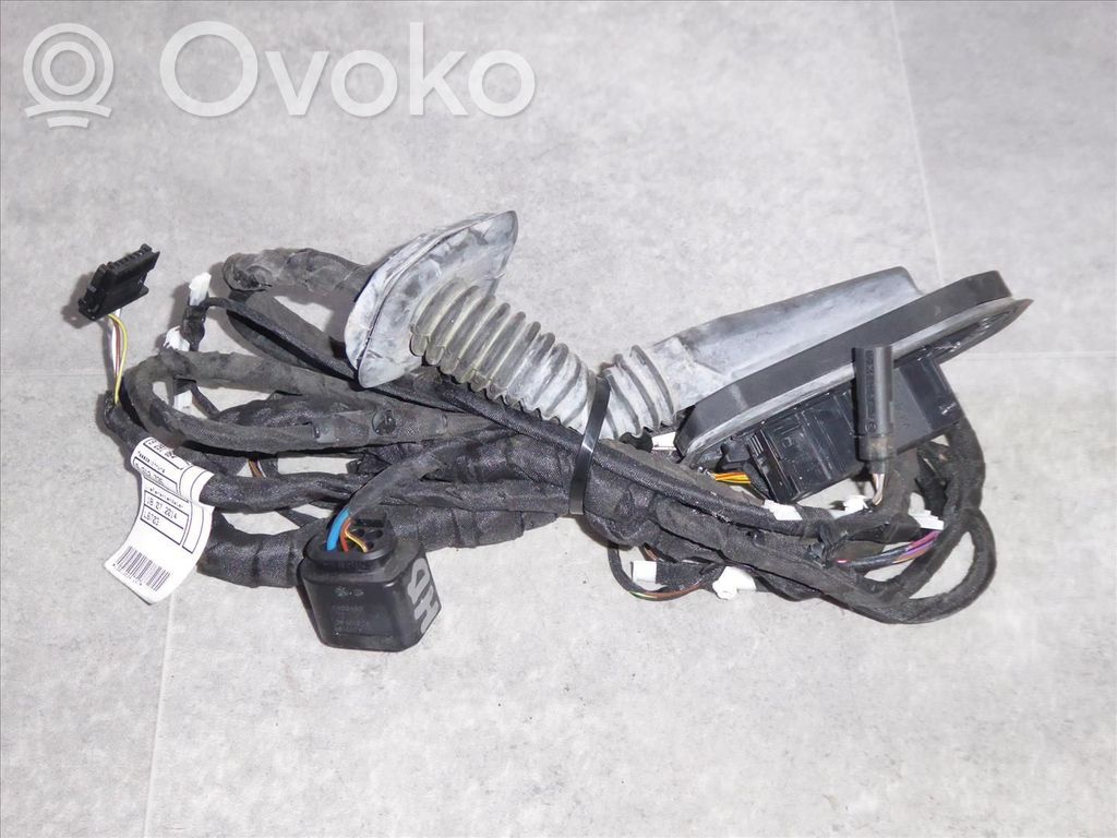 BMW 5 F10 F11 Wiązka przewodów drzwi tylnych 