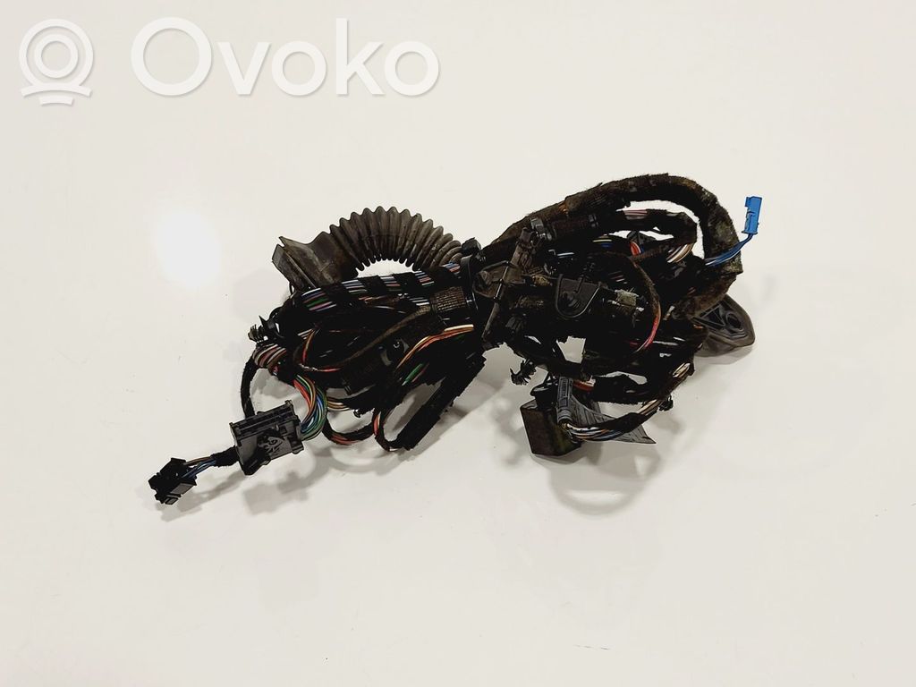 BMW 3 E92 E93 Cableado de puerta delantera 