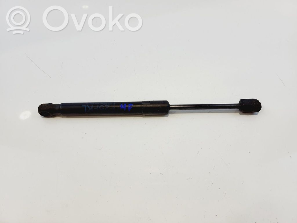 BMW X4 F26 Amortizor capotă motor 