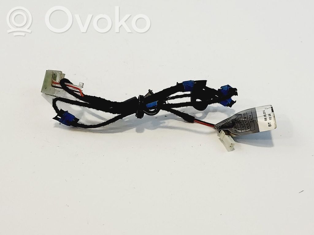 BMW X3 F25 Luce maniglia portiera anteriore (esterno) 