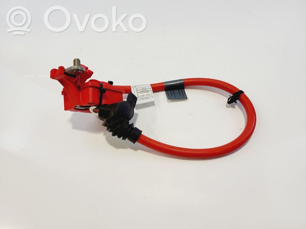 BMW 5 F10 F11 Cavo positivo (batteria)