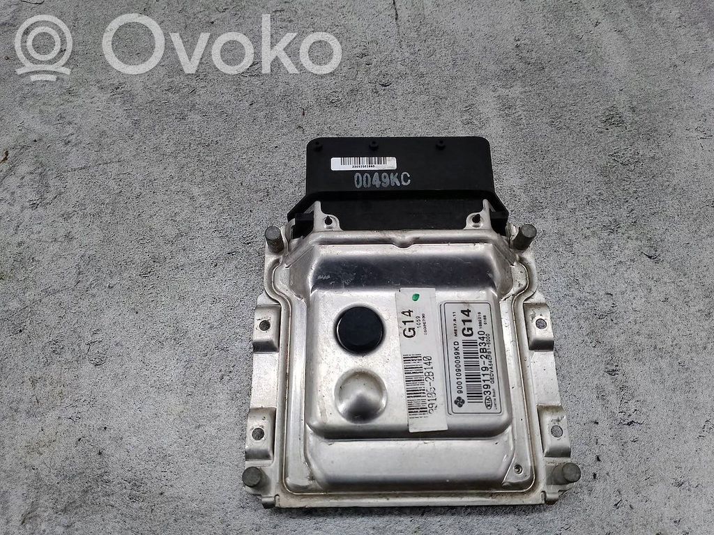 Engine control unit/module ECU