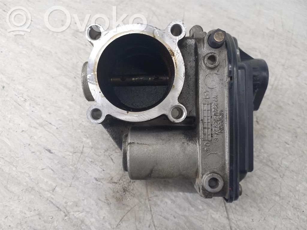 Throttle body valve