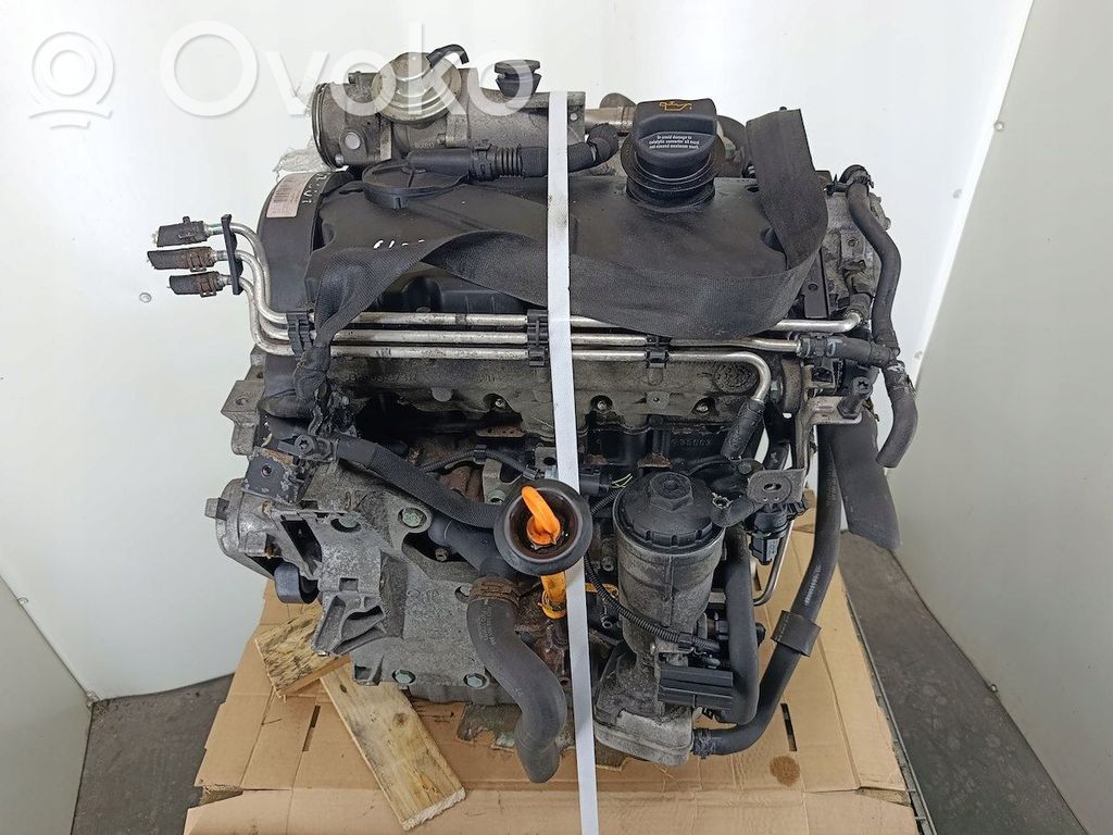 Motor   BKC
