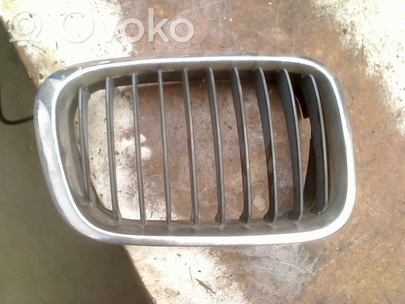 Kühlergrill   8159624,8159624