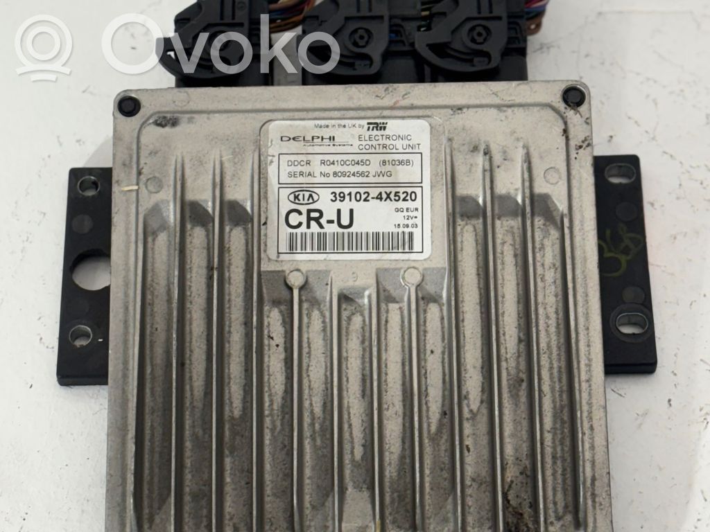 Engine control unit/module   391024X520,80924562,R0410C045D