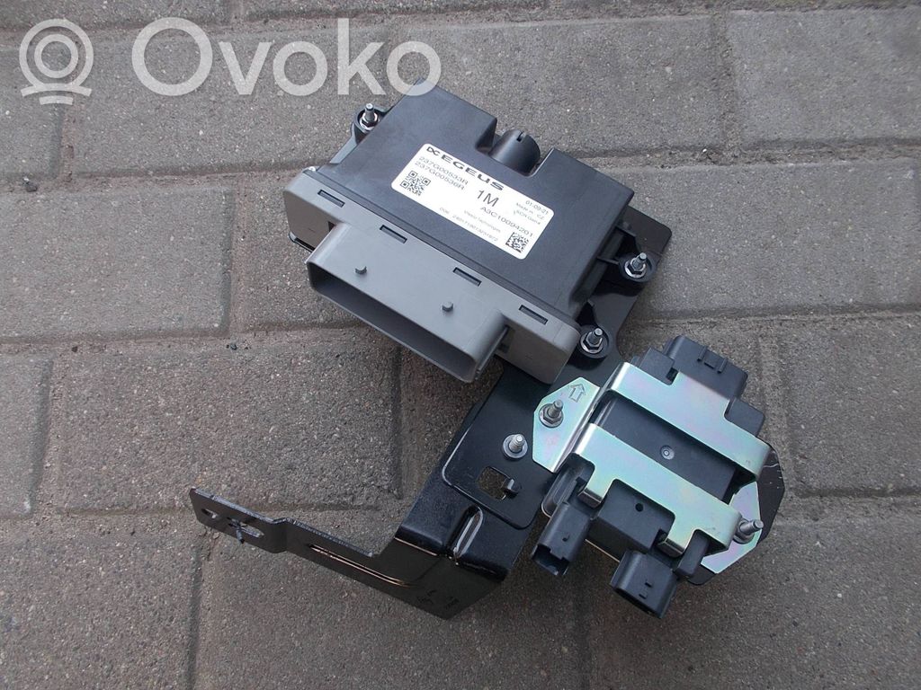 Renault Kadjar Other control units/modules 