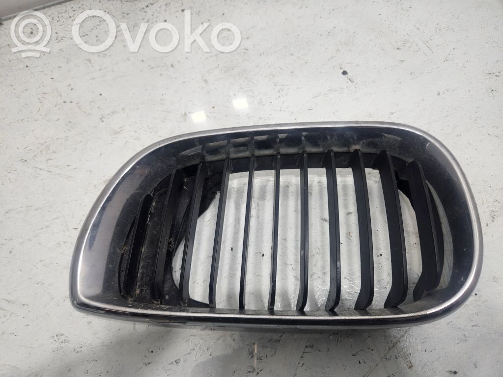 BMW 3 E46 Front grill 