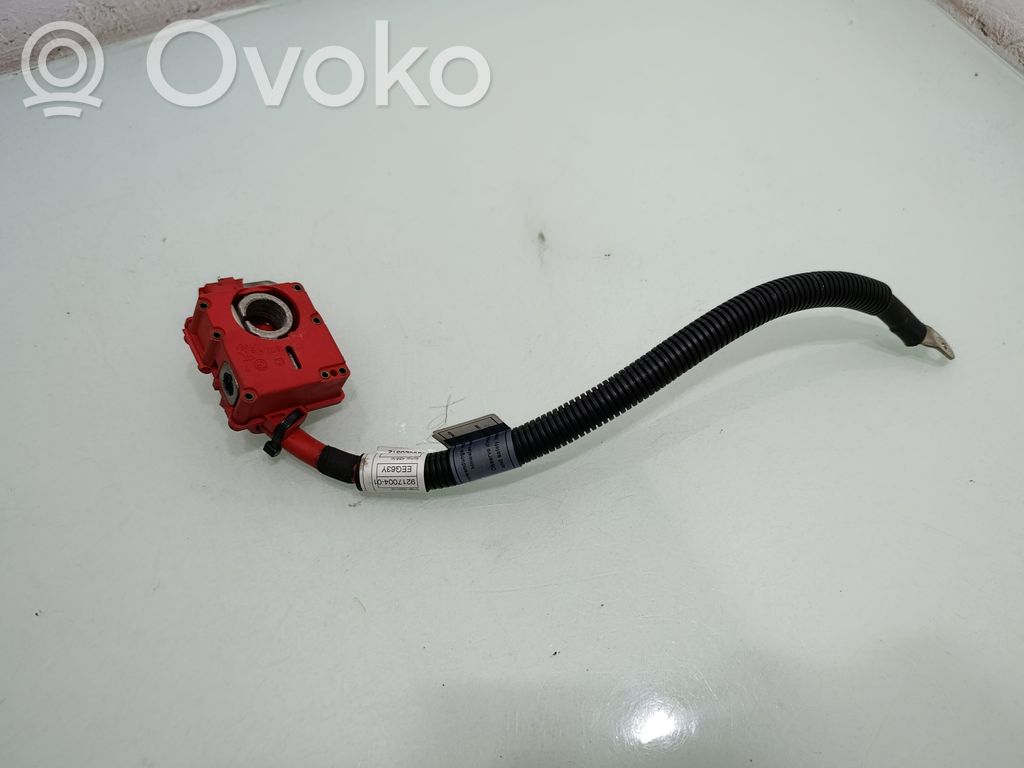 BMW X5 E70 Pliusinis laidas (akumuliatoriaus) 