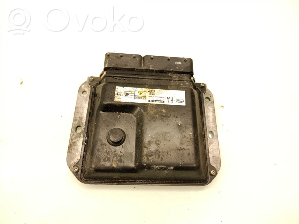 Subaru Outback Engine control unit/module 