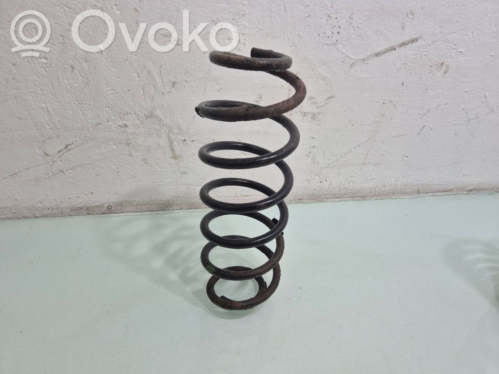 Rear coil spring