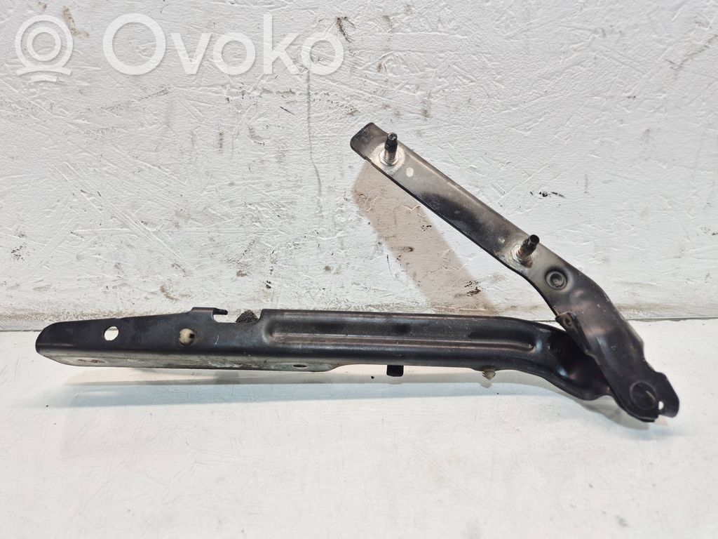 Bisagras del capó/tapa del motor