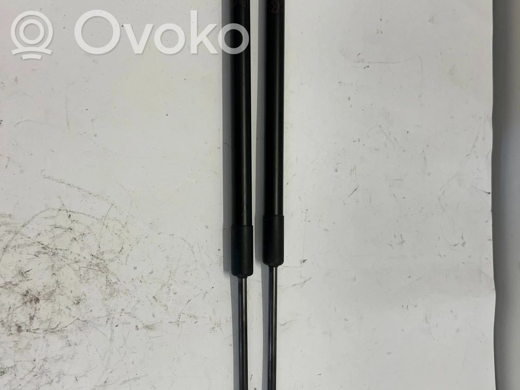 Tailgate strut   DA6C62620A