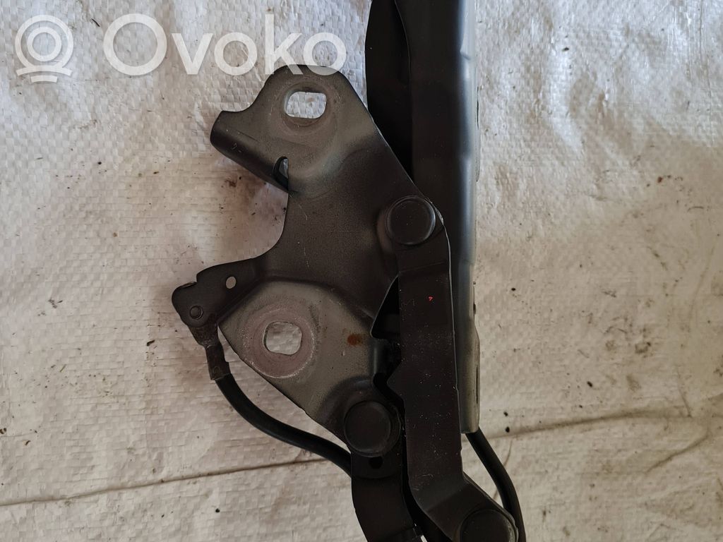 BMW 3 E92 E93 Dzinēja pārsega eņģe (-es) 