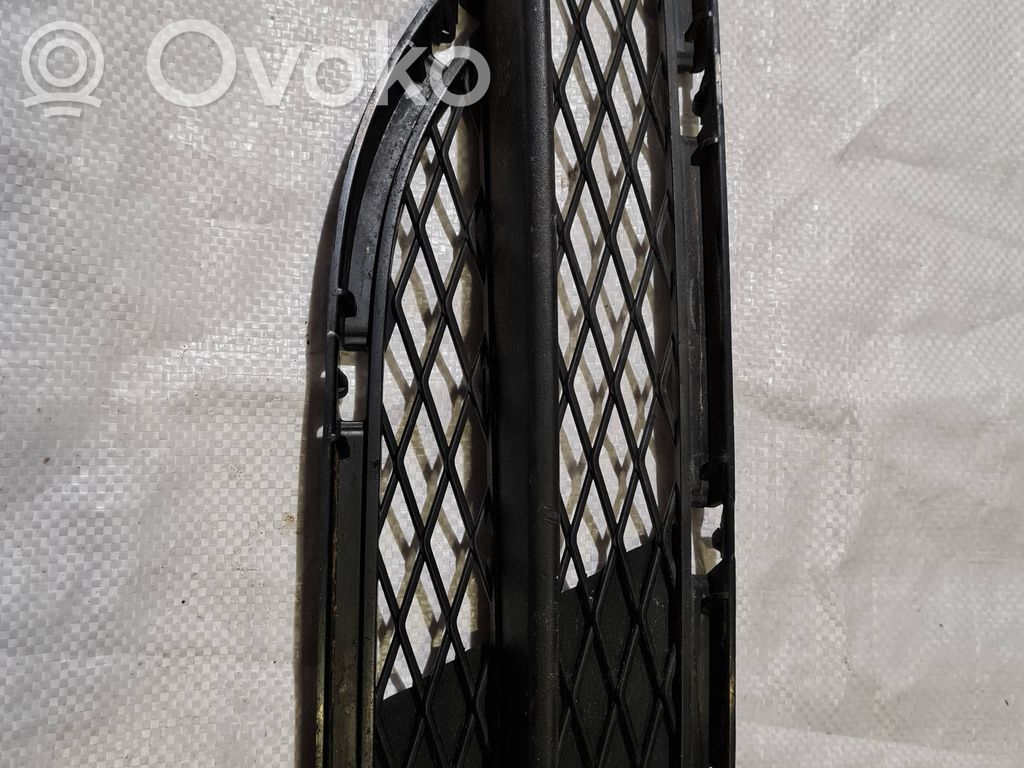 Front bumper lower grill   51117198902