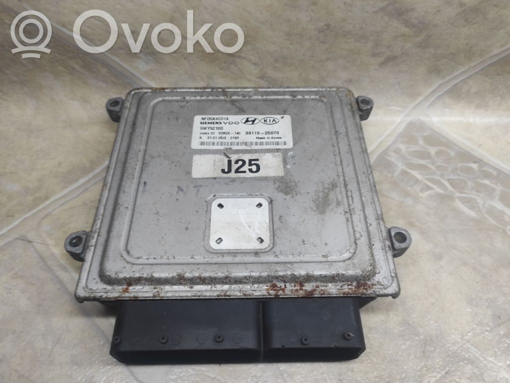 Hyundai Sonata Engine control unit/module 