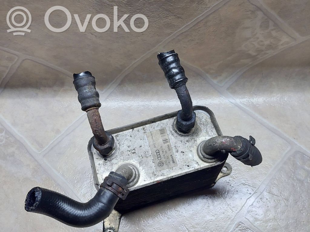 Volkswagen Phaeton Engine oil radiator 