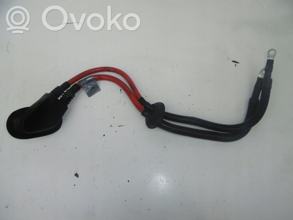 Cable positivo (batería)   6904900