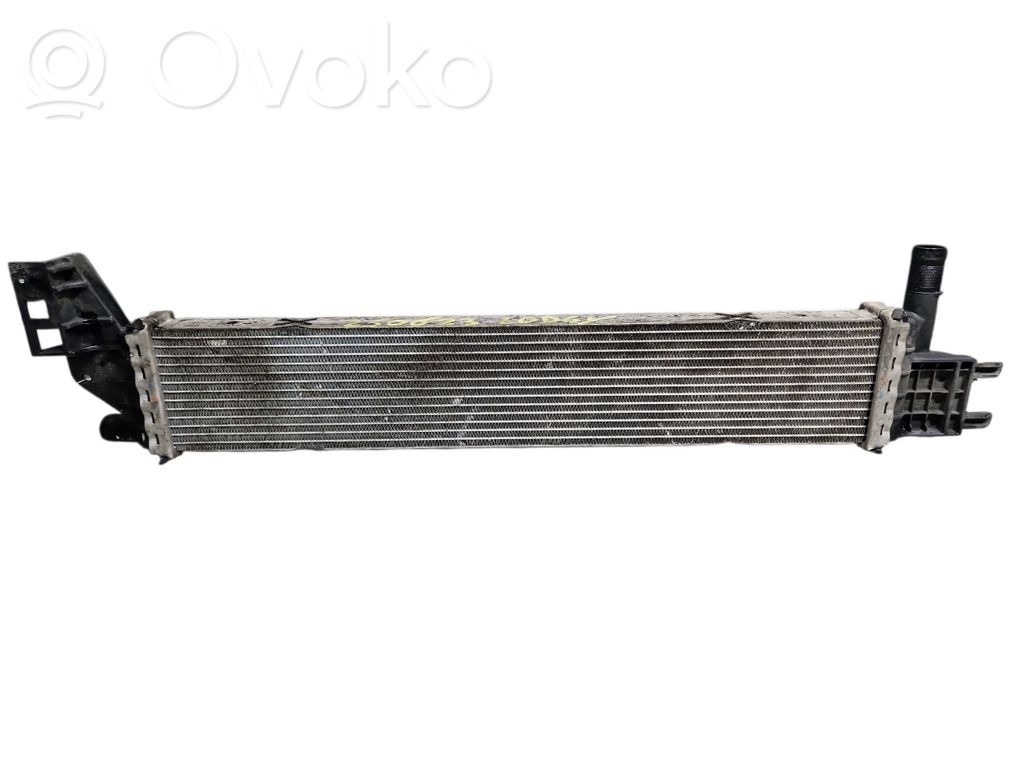 Dacia Lodgy Coolant radiator 