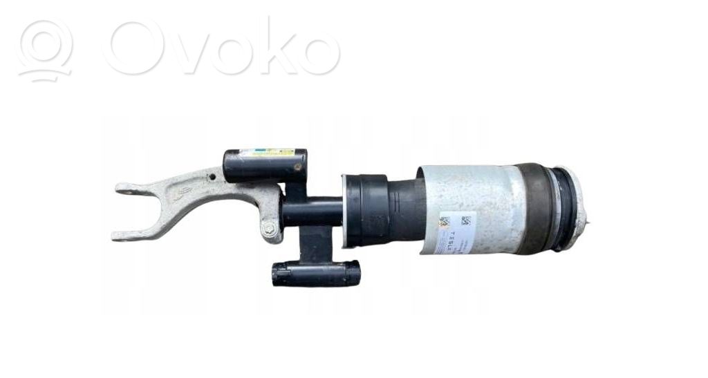 Amortiguador delantero   102706100C