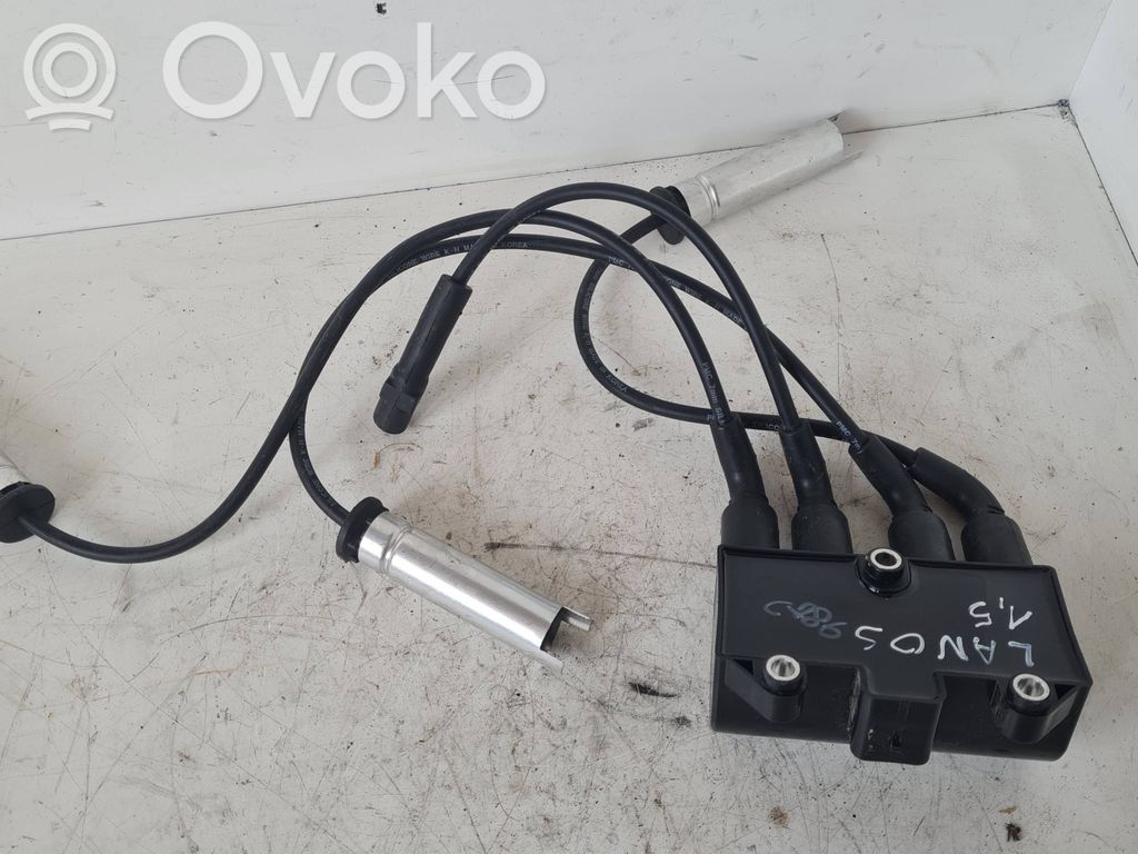 Aukštos įtampos ritė "babyna"   BAEQ089,060717089012