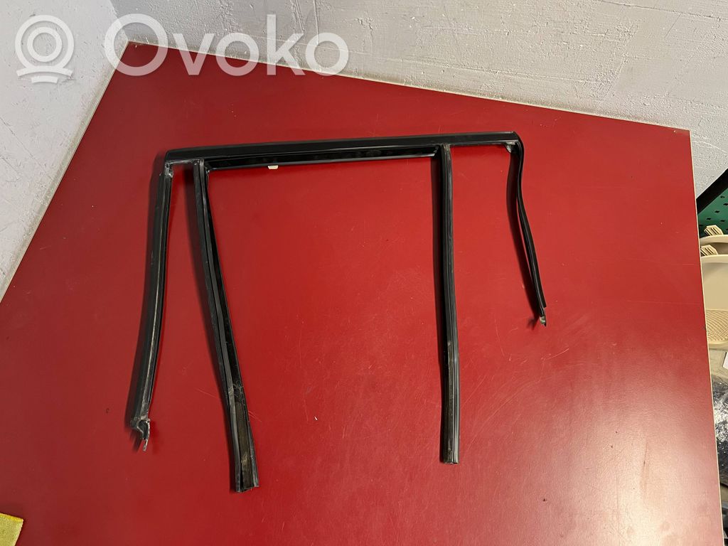 BMW X3 G01 Listwa / Uszczelka szyby drzwi tylnych 