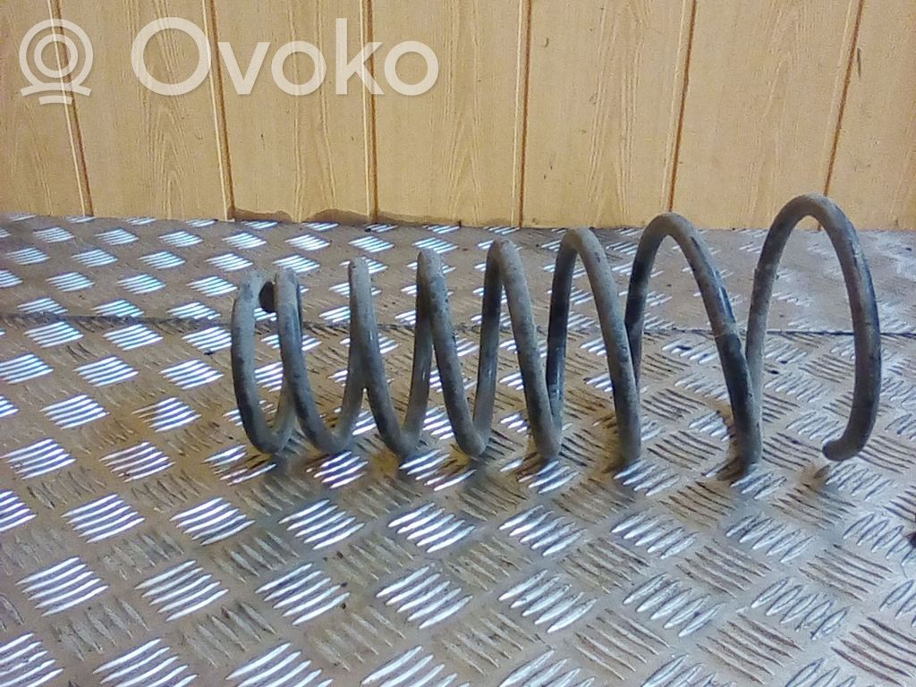 Muelle espiral trasero