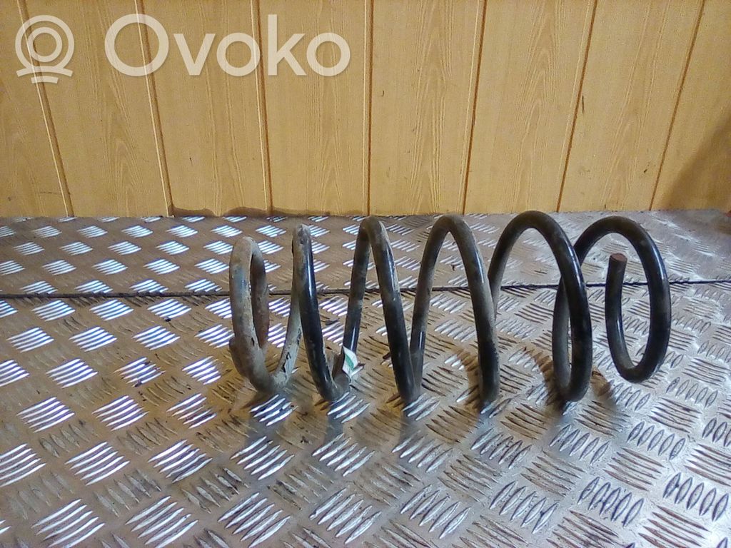 Front coil spring