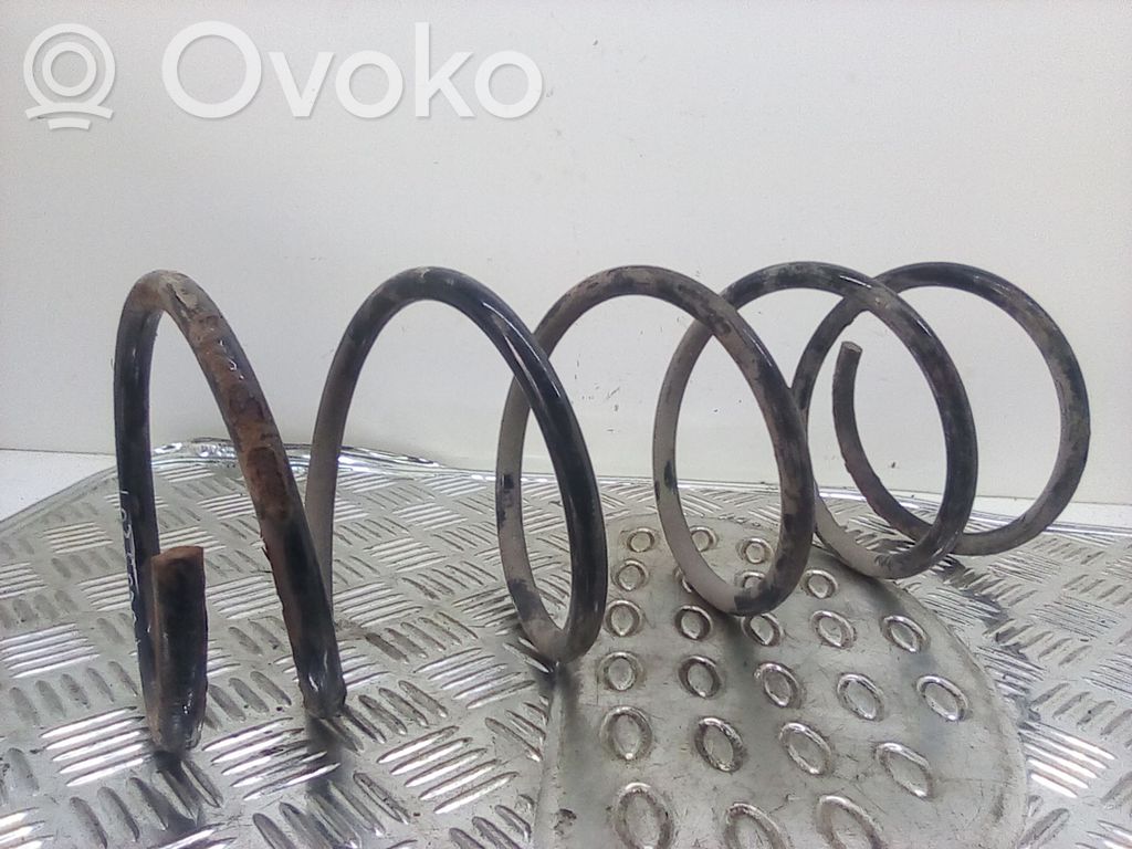 Front coil spring