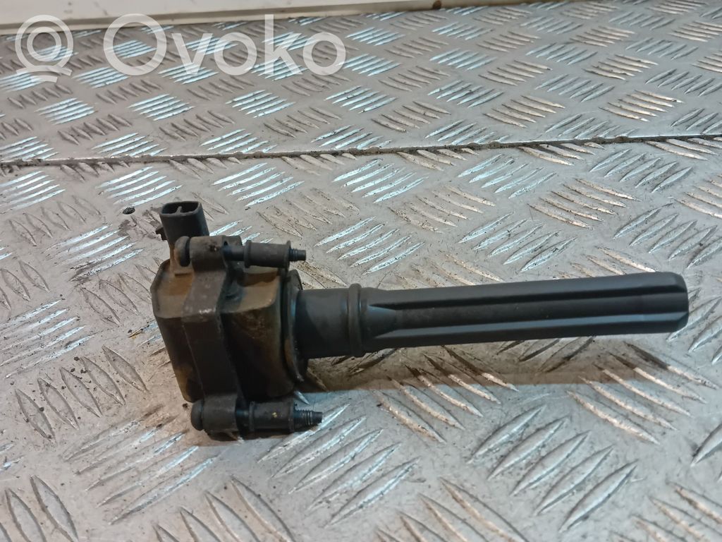 Aukštos įtampos ritė "babyna"   04609,099AF