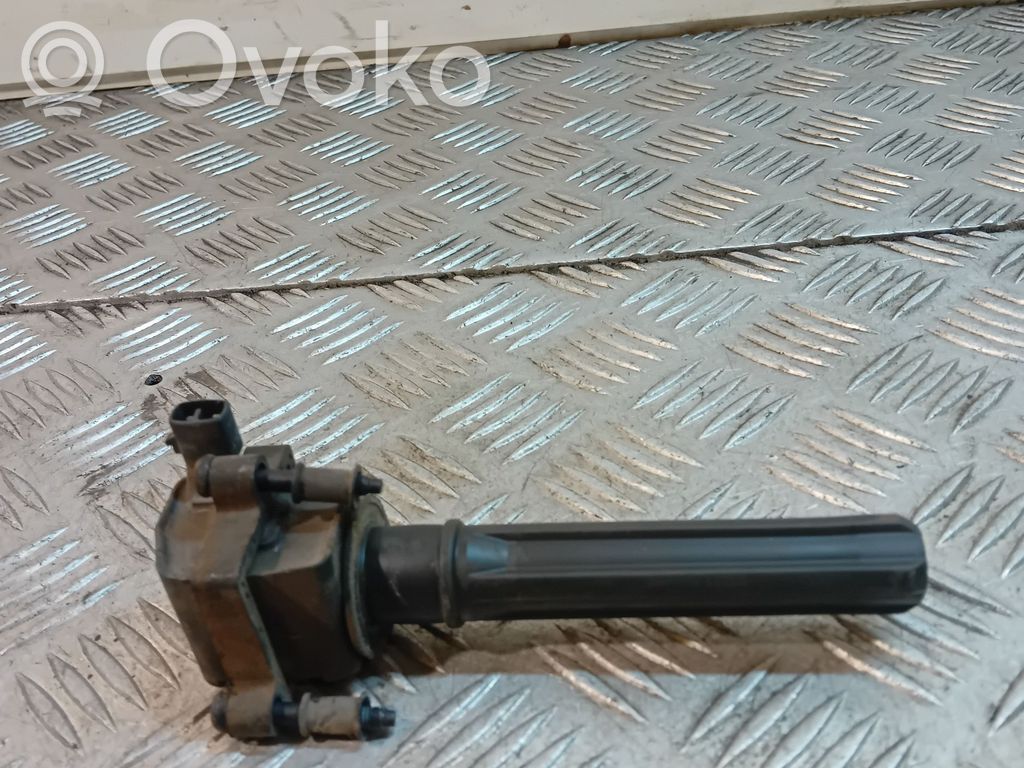 Aukštos įtampos ritė "babyna"   04609,099AF