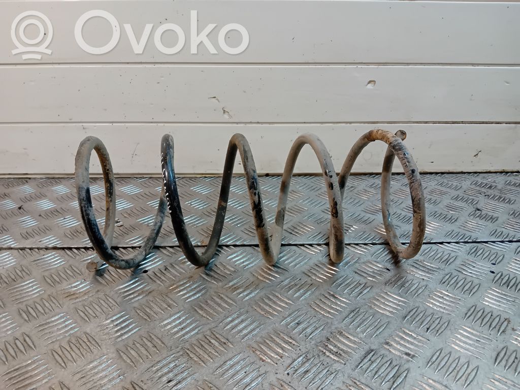 Front coil spring