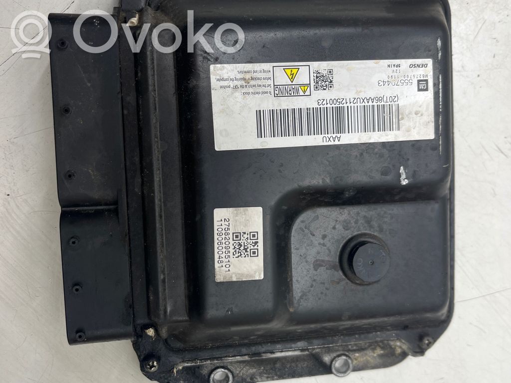 Engine control unit/module   275820955101,11090600481,55579448