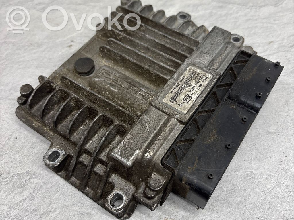 KIA Carnival Engine control unit/module 