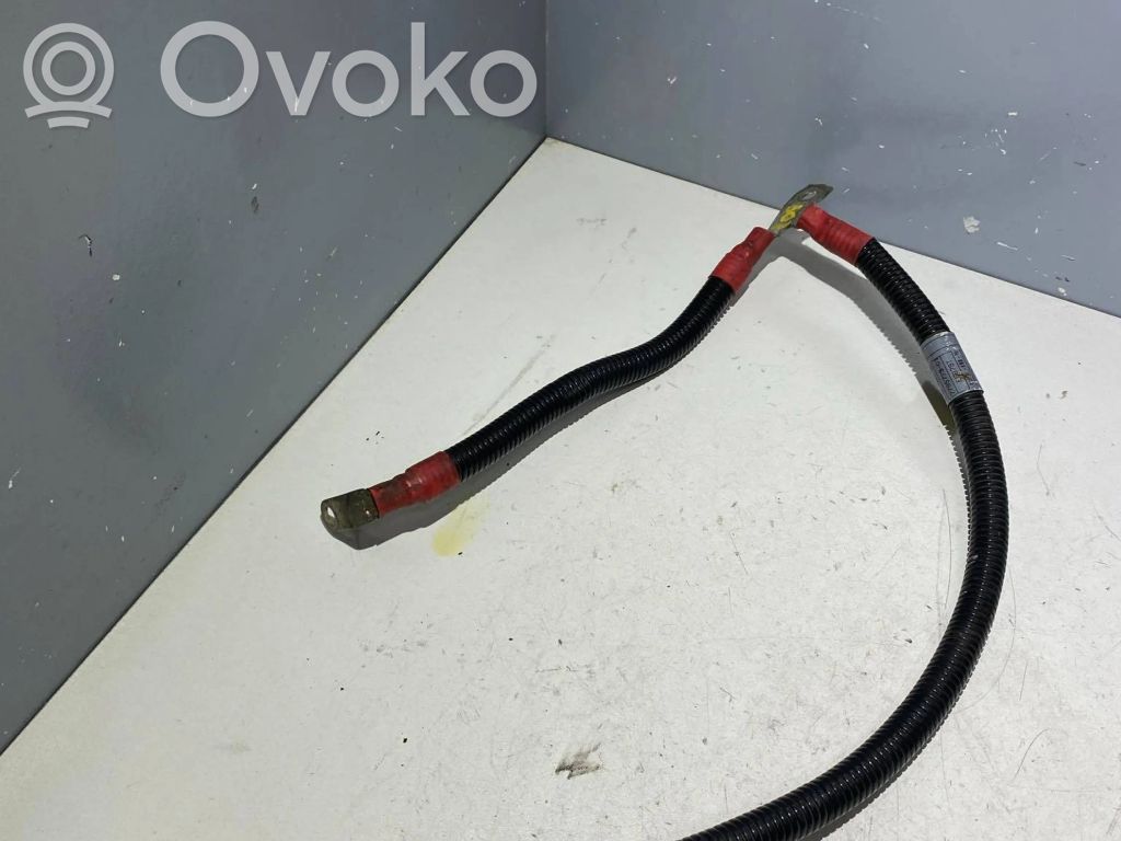 Cable positivo (batería)   7795778,6132042,ASSZ81CD00