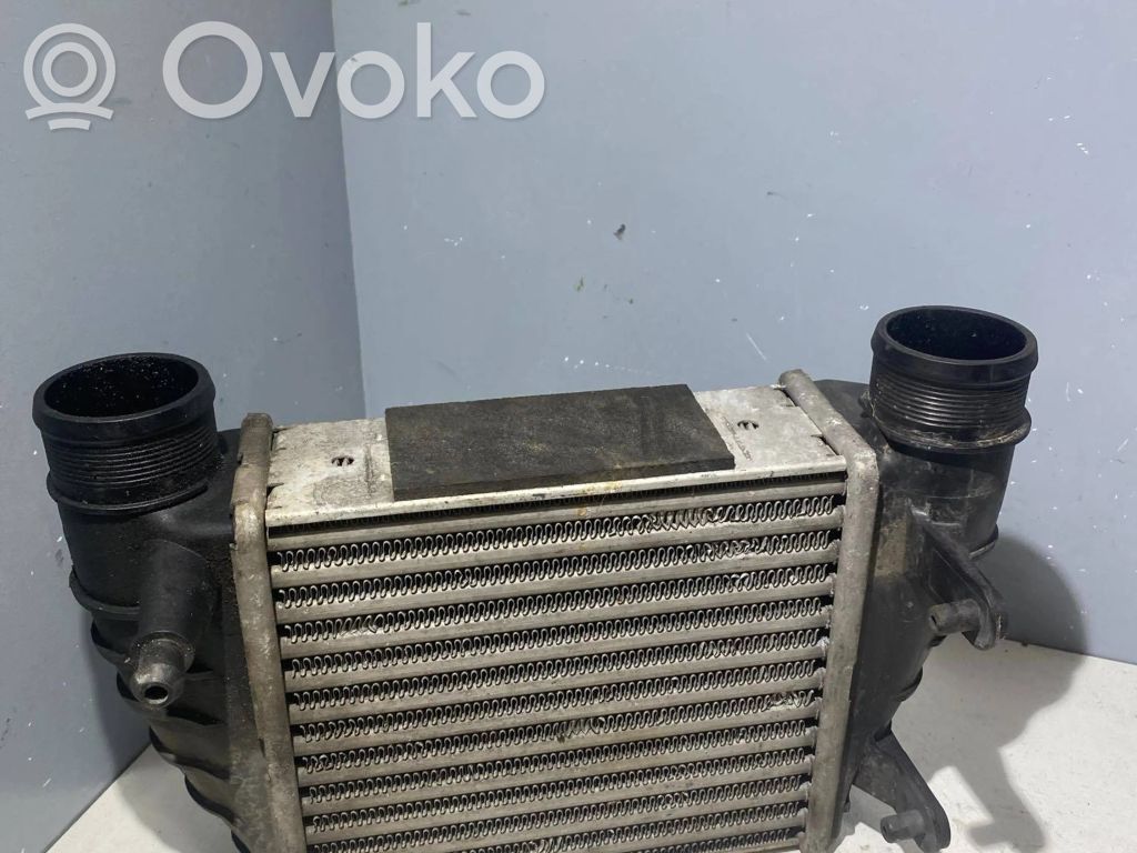 Audi A4 S4 B7 8E 8H Interkūlerio radiatorius 