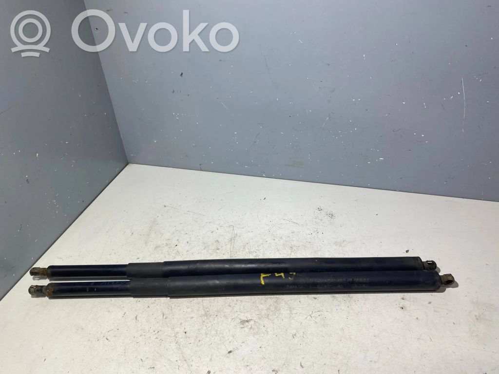 BMW 5 E60 E61 Amortiguador/puntal del maletero/compartimento de carga 