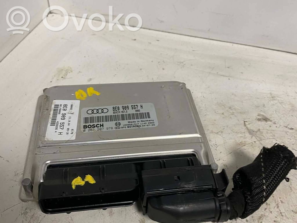 Audi A4 S4 B6 8E 8H Sterownik / Moduł ECU 