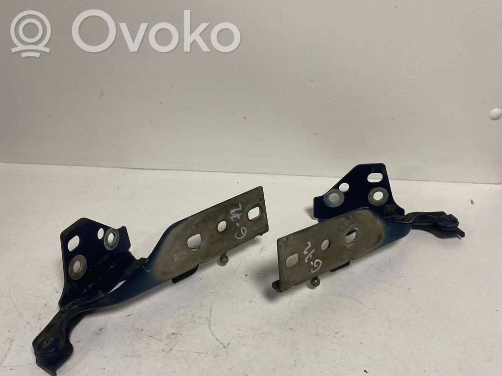 Jaguar X-Type Engine bonnet/hood hinges 