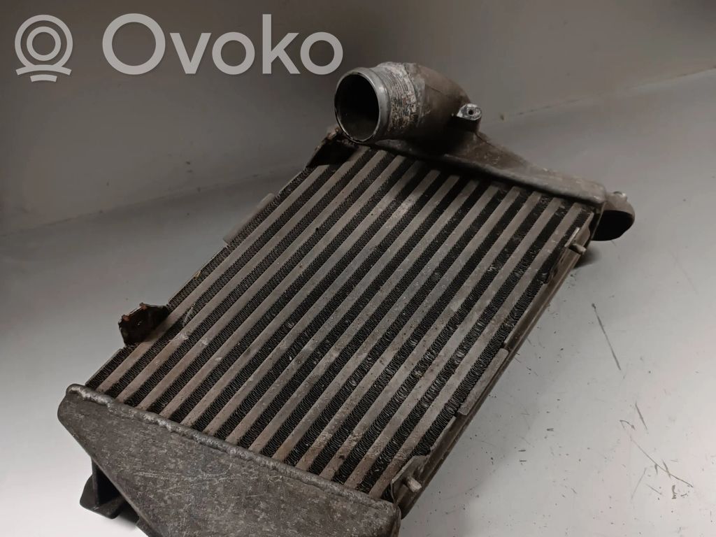 Audi A8 S8 D3 4E Interkūlerio radiatorius 