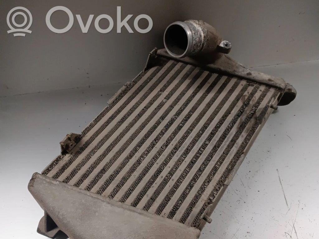 Audi A8 S8 D3 4E Interkūlerio radiatorius 