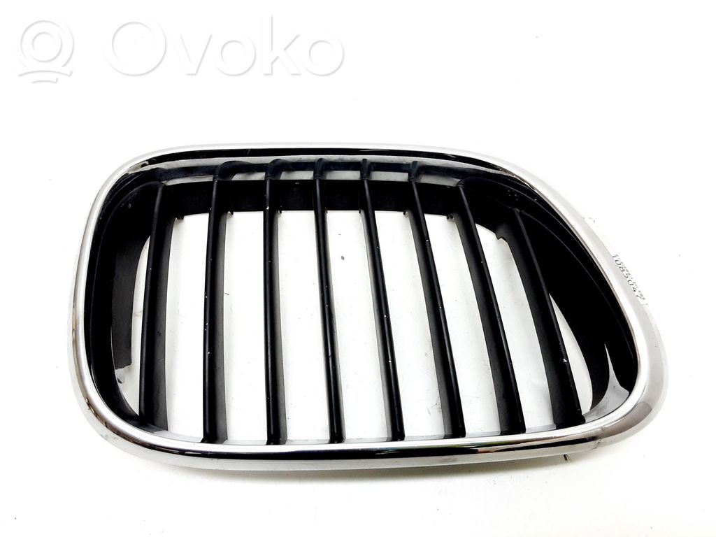 BMW X5 E53 Front grill 