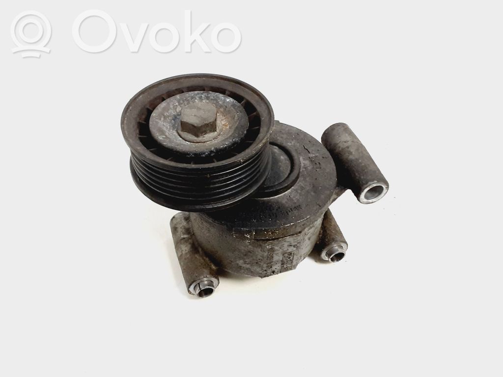 Volvo V50 Napinacz paska alternatora 