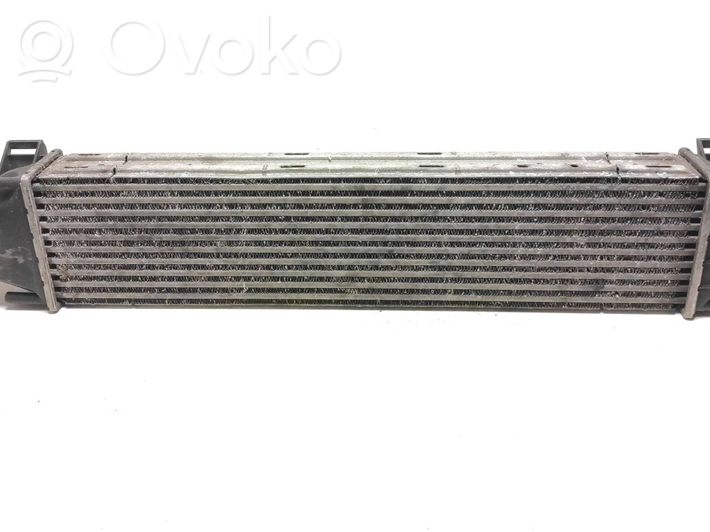 Interkūlerio radiatorius   31273910,30741669,31319423