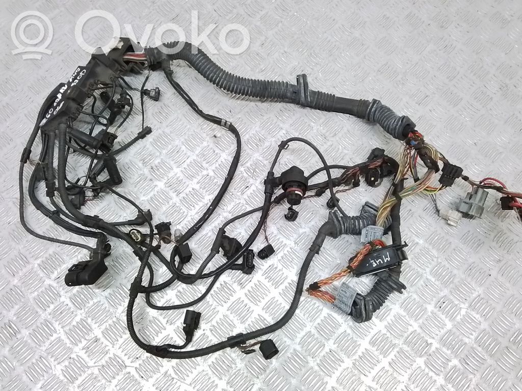 Engine installation wiring loom   7795360,7795459
